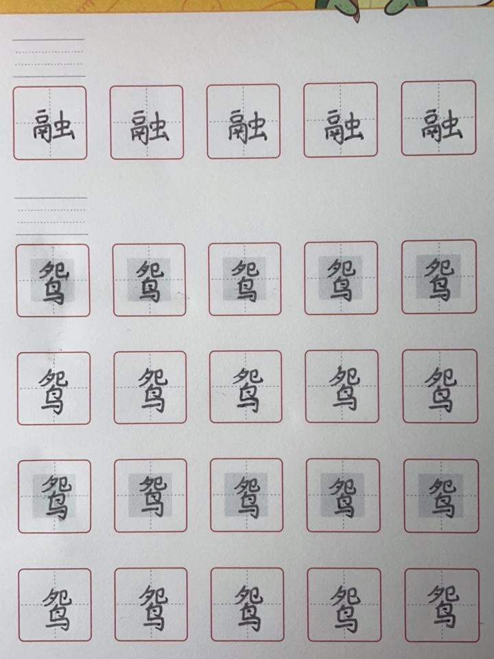 龟小兔写字优秀作品展示：蔡玟熙/四年级/练字1天